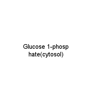 Glucose 1-phosphate(cytosol)